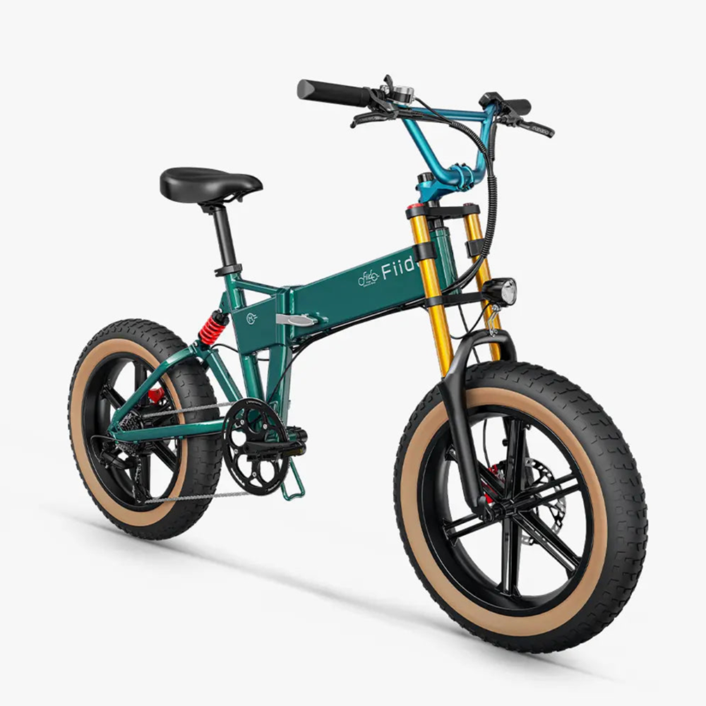 Fiido M1 Pro Fatbike E-Bike